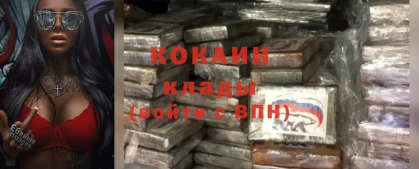 индика Алзамай