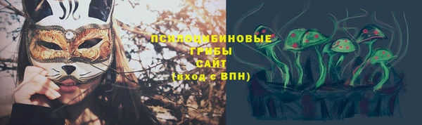 стафф Алексеевка