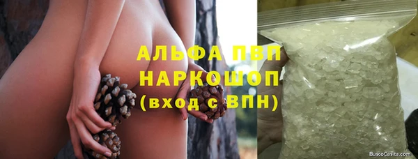 сатива Нягань