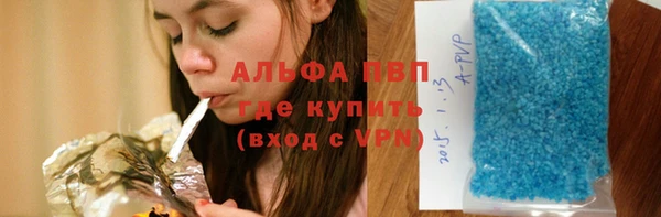индика Алзамай