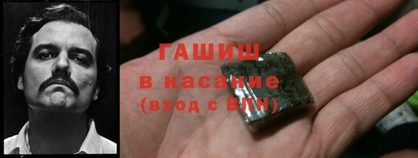 индика Алзамай