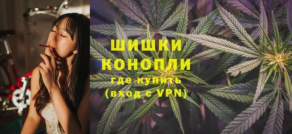 индика Алзамай