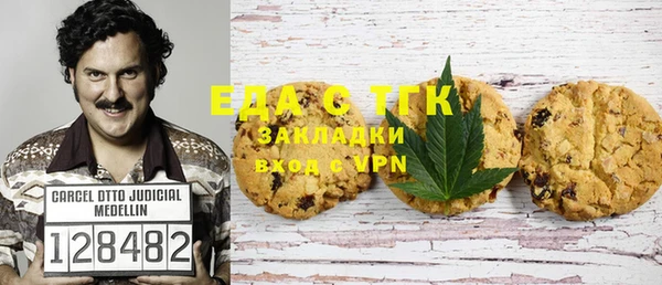 индика Алзамай