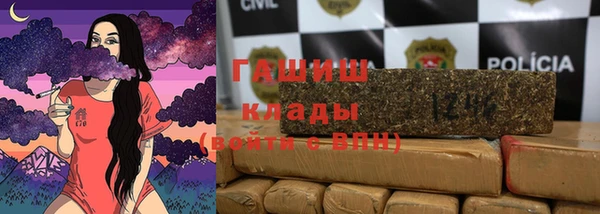 индика Алзамай