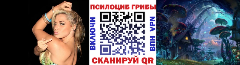 omg как войти цена наркотик Щигры Псилоцибиновые грибы Psilocybe