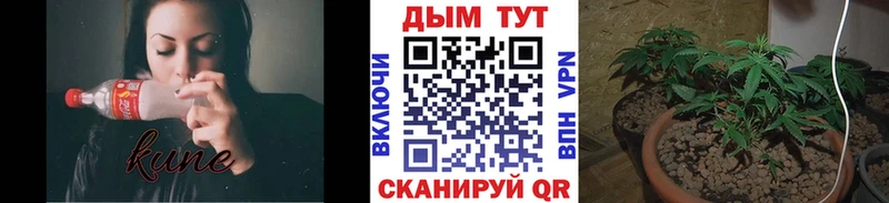 купить закладку  Щигры  Бошки Шишки гибрид 